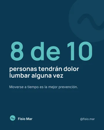Un dato que llama la atención (Fisio Mar, proyecto de demostración)